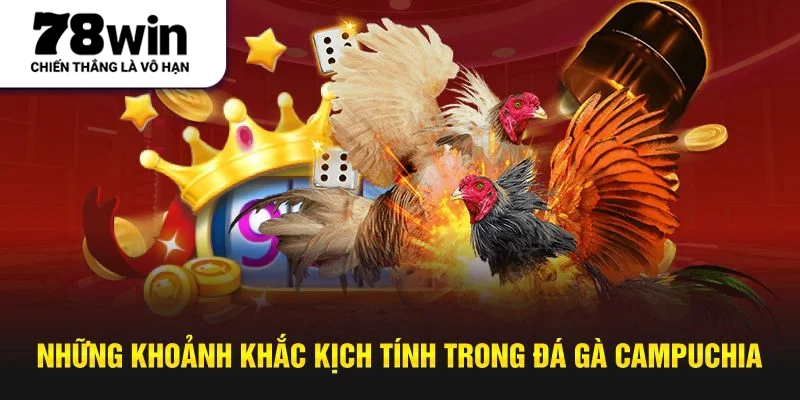 Những khoảnh khắc kịch tính trong đá gà Campuchia